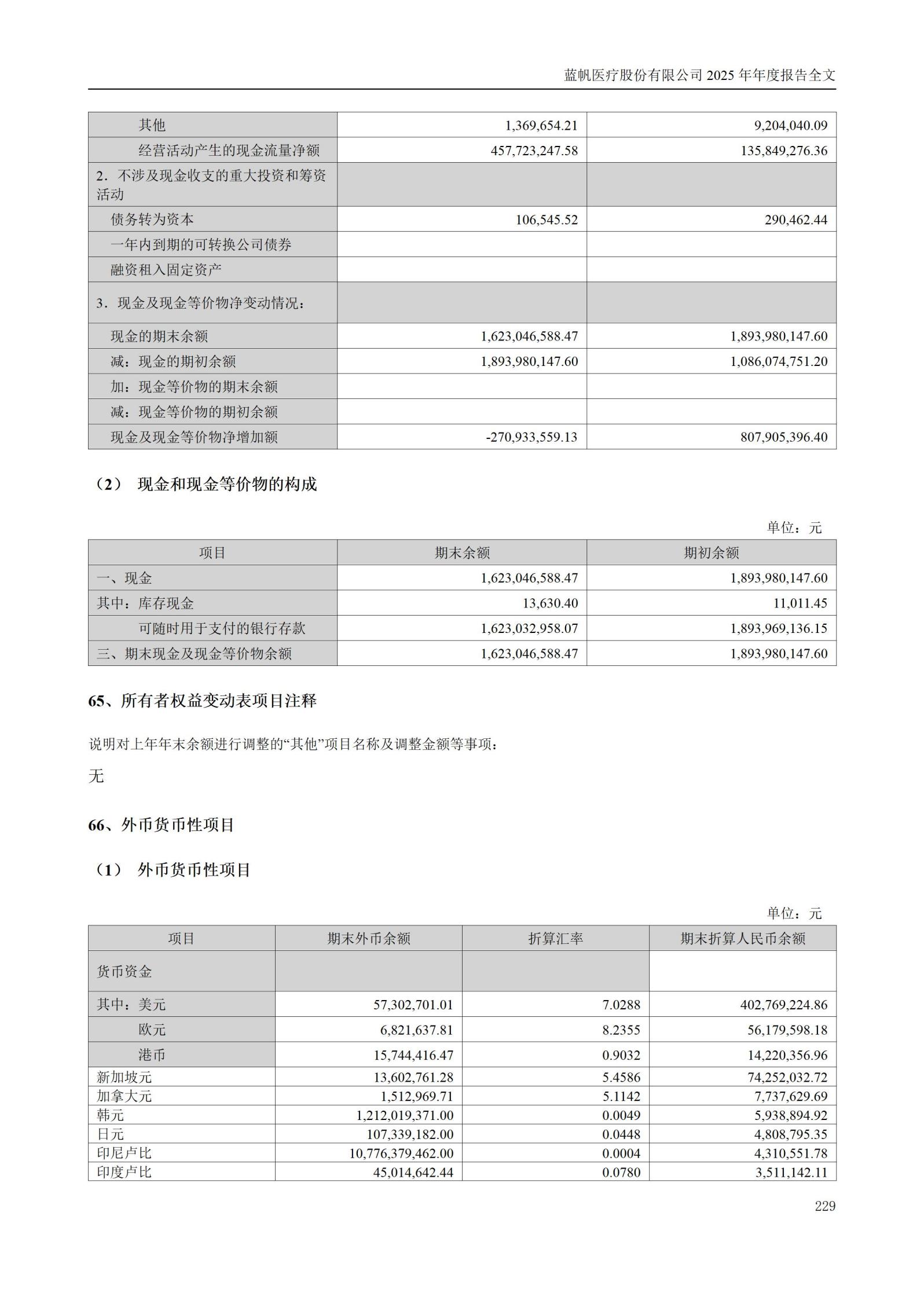 2025年年度报告_229