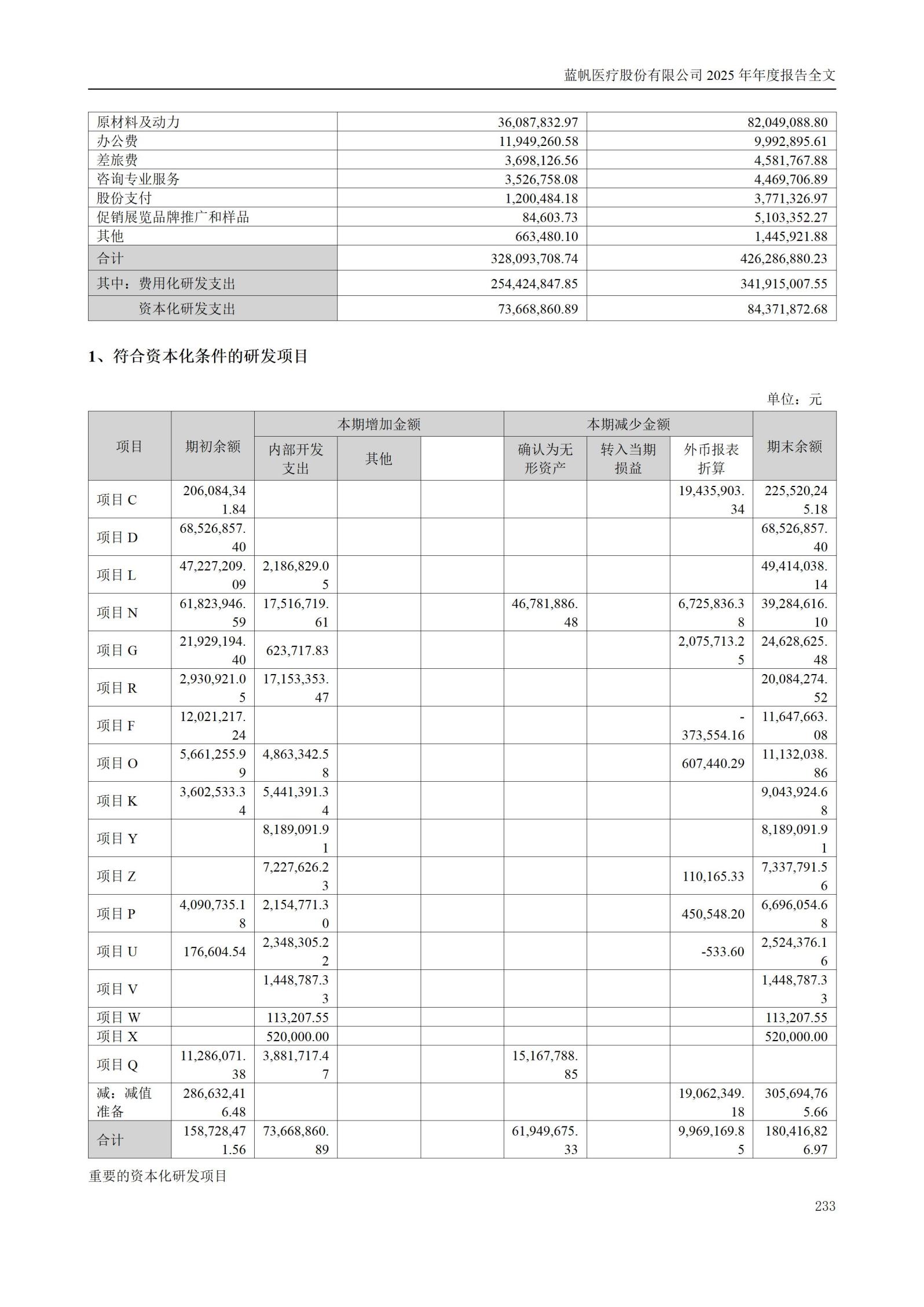 2025年年度报告_233