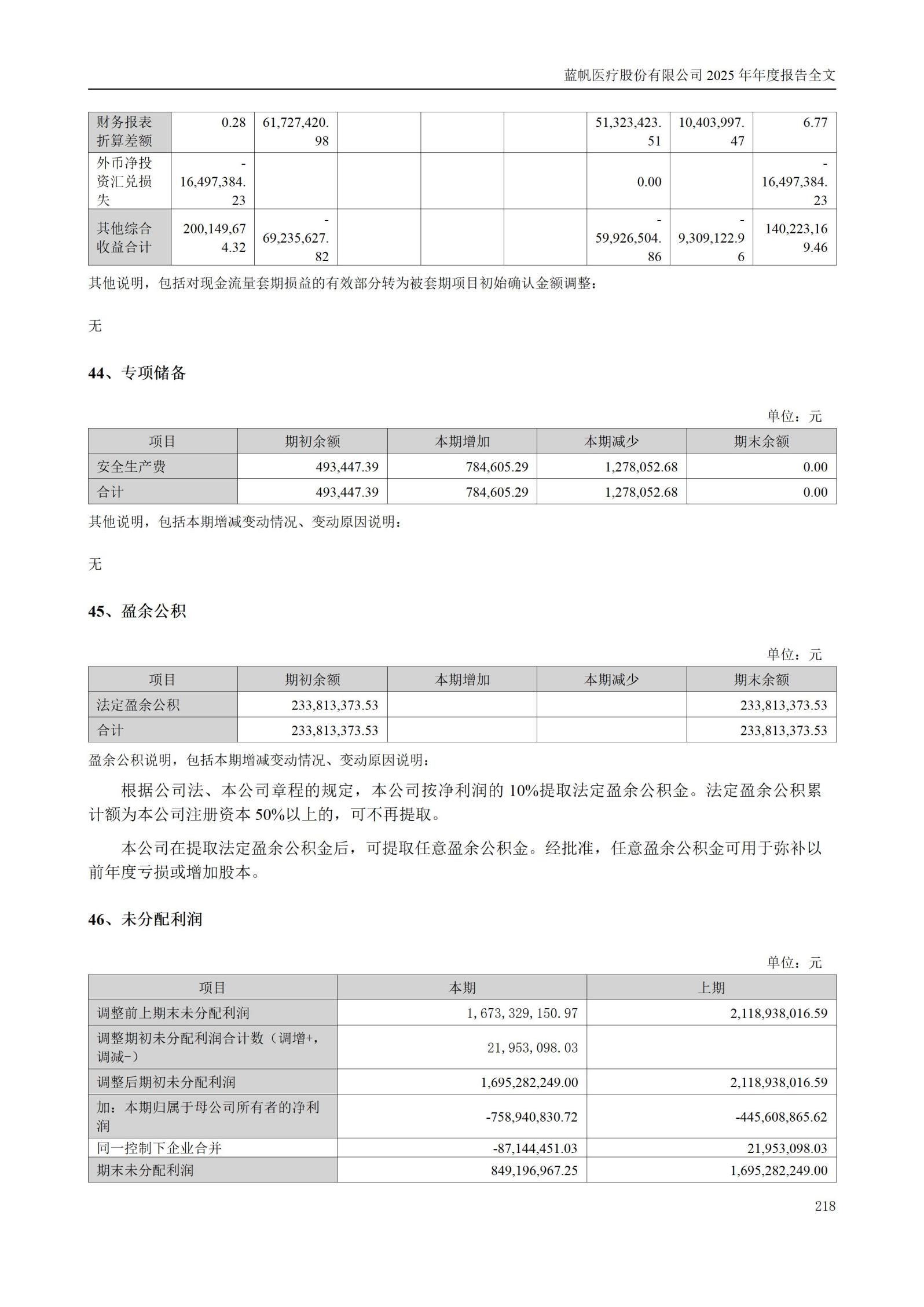 2025年年度报告_218