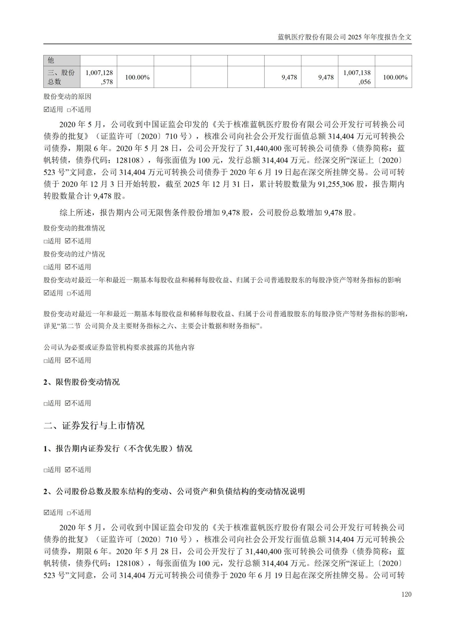 2025年年度报告_120