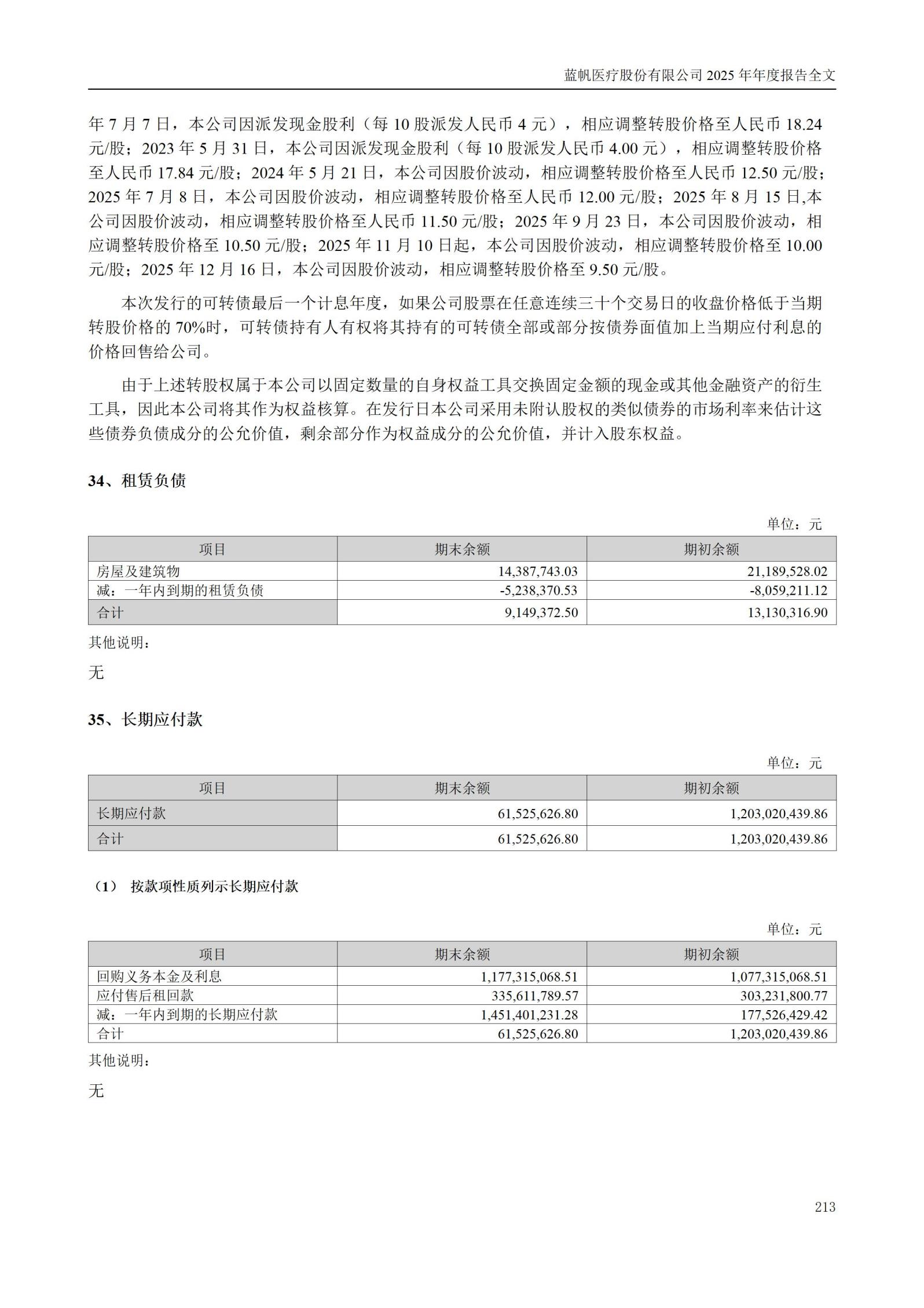 2025年年度报告_213