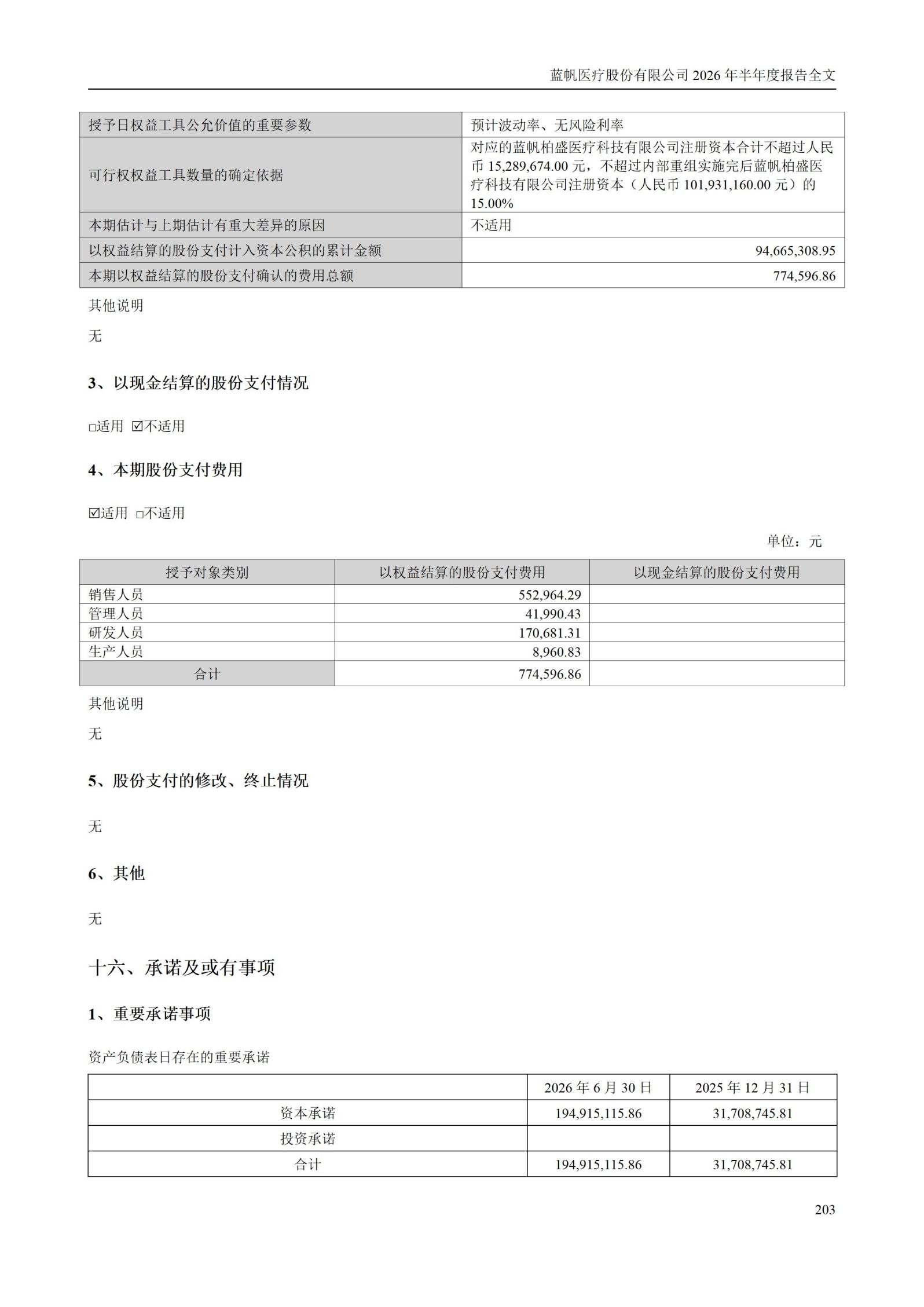 3-蓝帆医疗股份有限公司2026年半年度报告_203