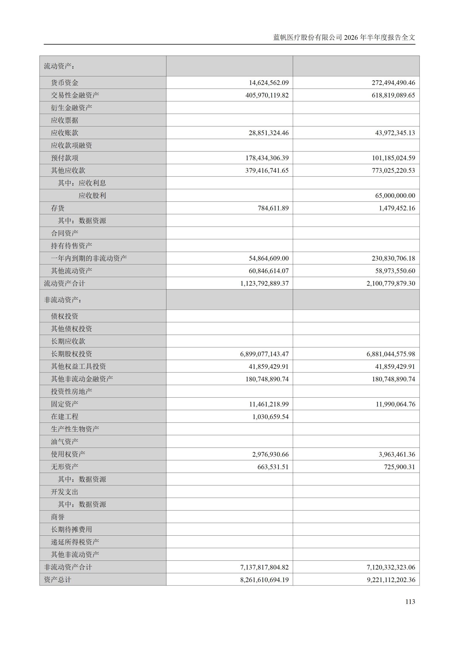 3-蓝帆医疗股份有限公司2026年半年度报告_113