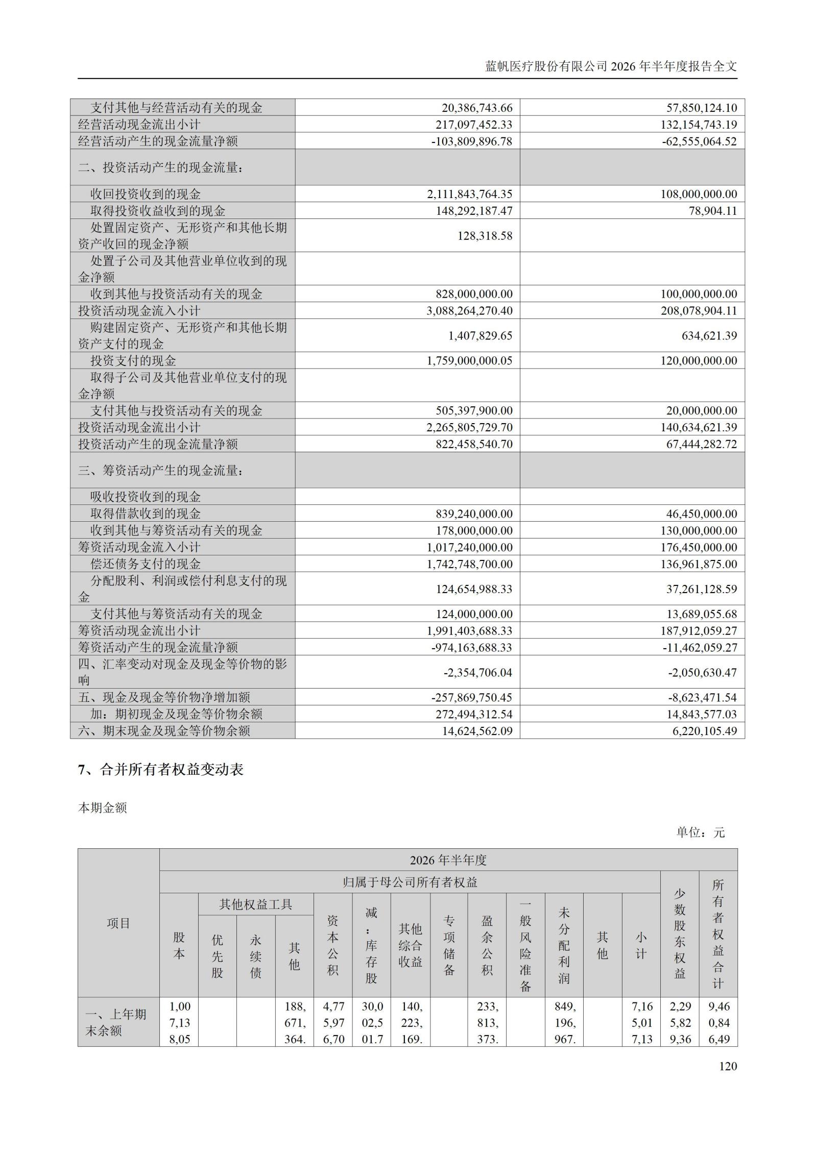 3-蓝帆医疗股份有限公司2026年半年度报告_120