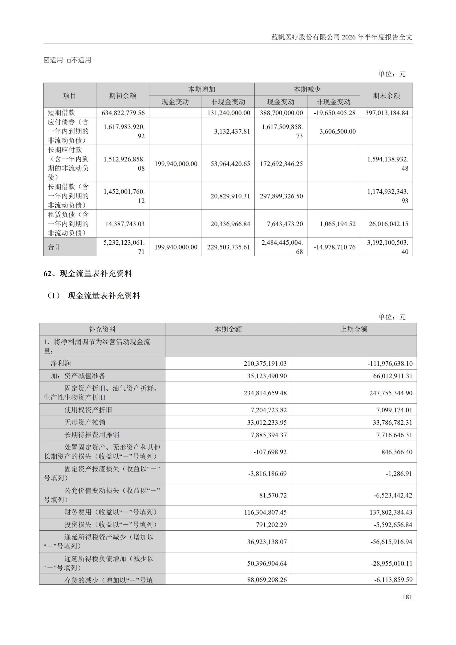 3-蓝帆医疗股份有限公司2026年半年度报告_181