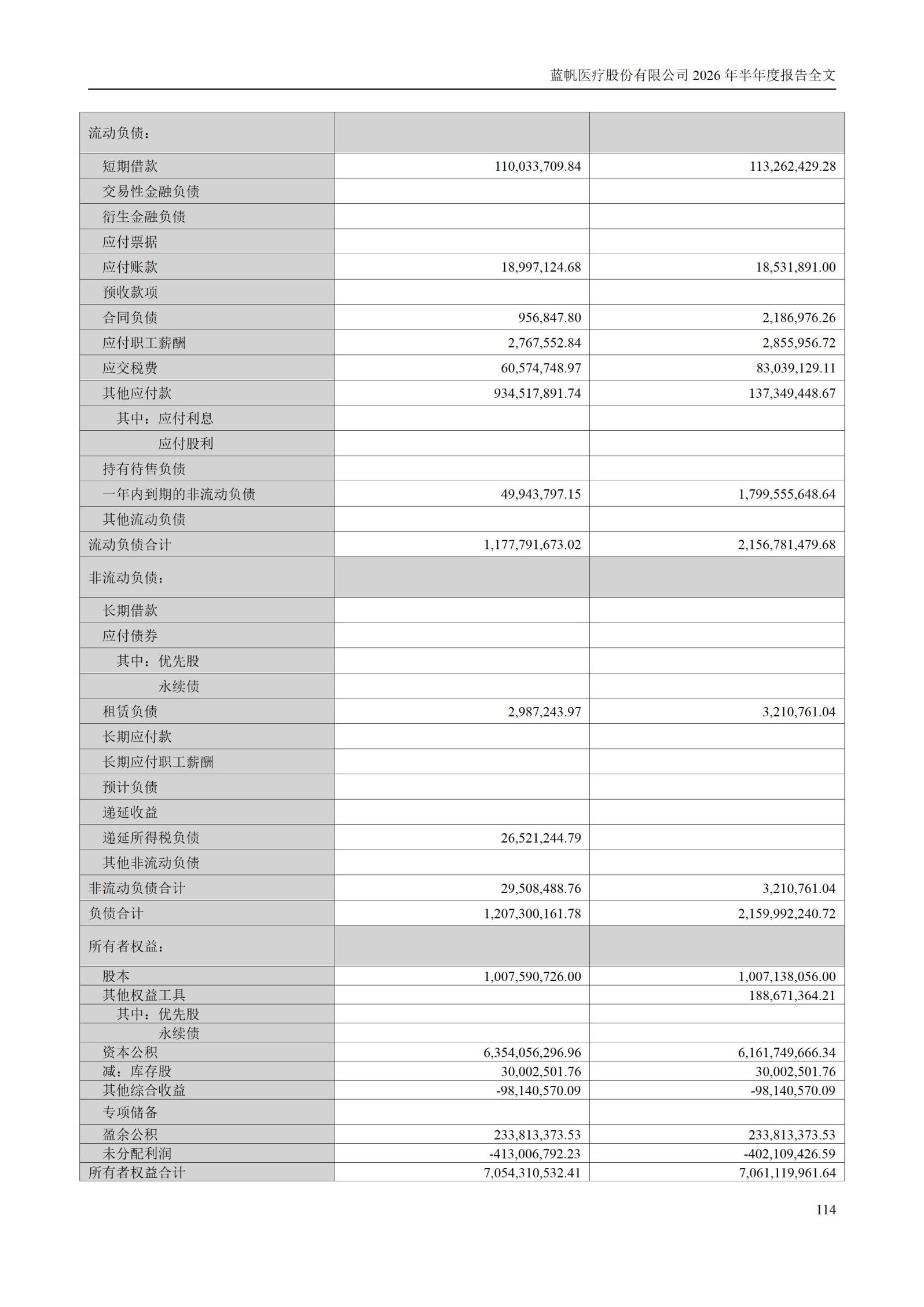 3-蓝帆医疗股份有限公司2026年半年度报告_114
