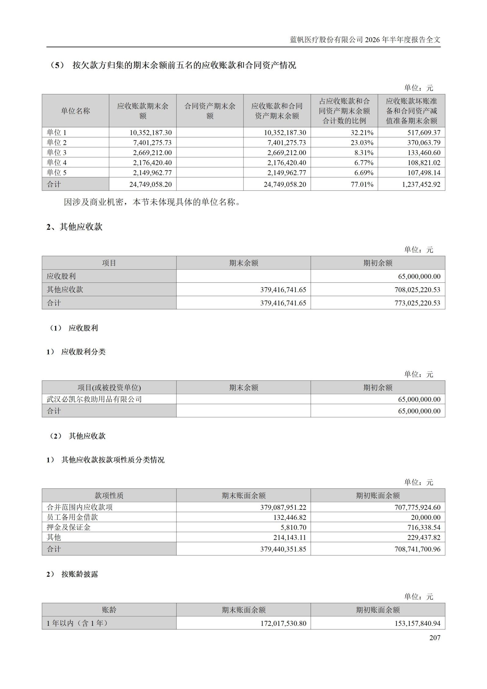 3-蓝帆医疗股份有限公司2026年半年度报告_207