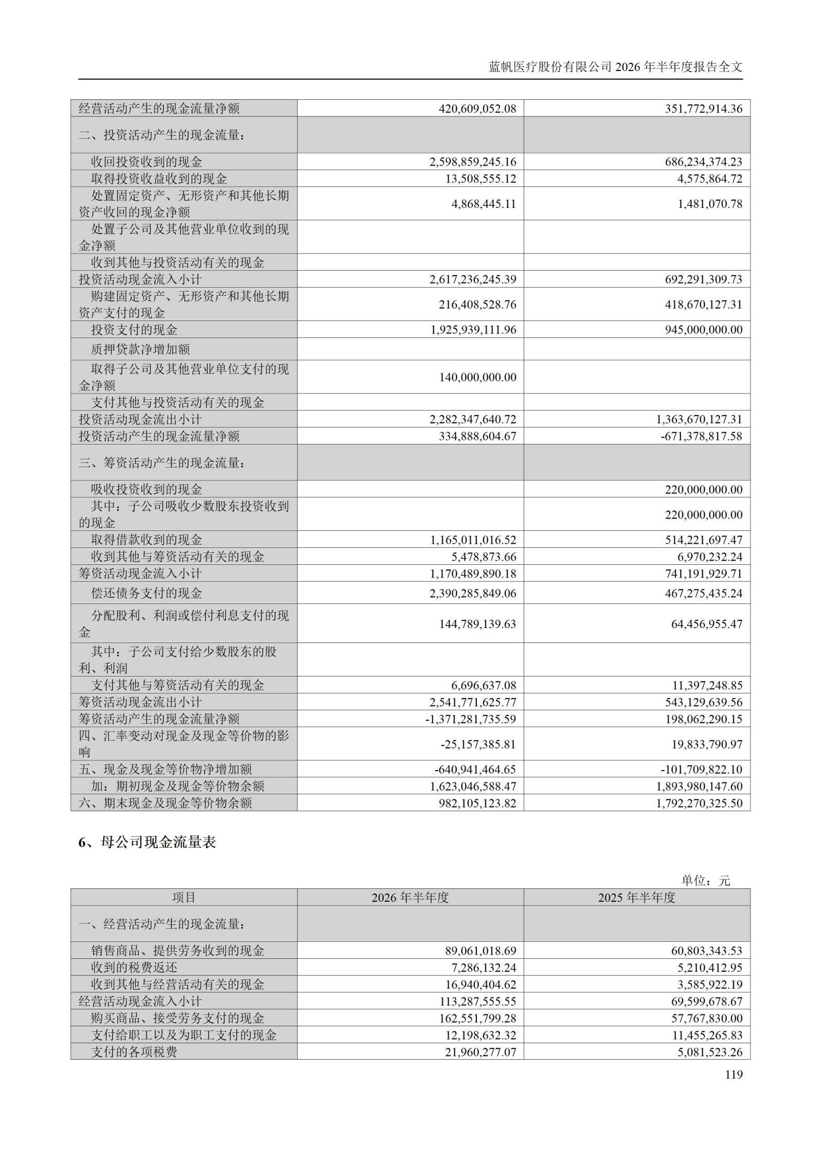 3-蓝帆医疗股份有限公司2026年半年度报告_119