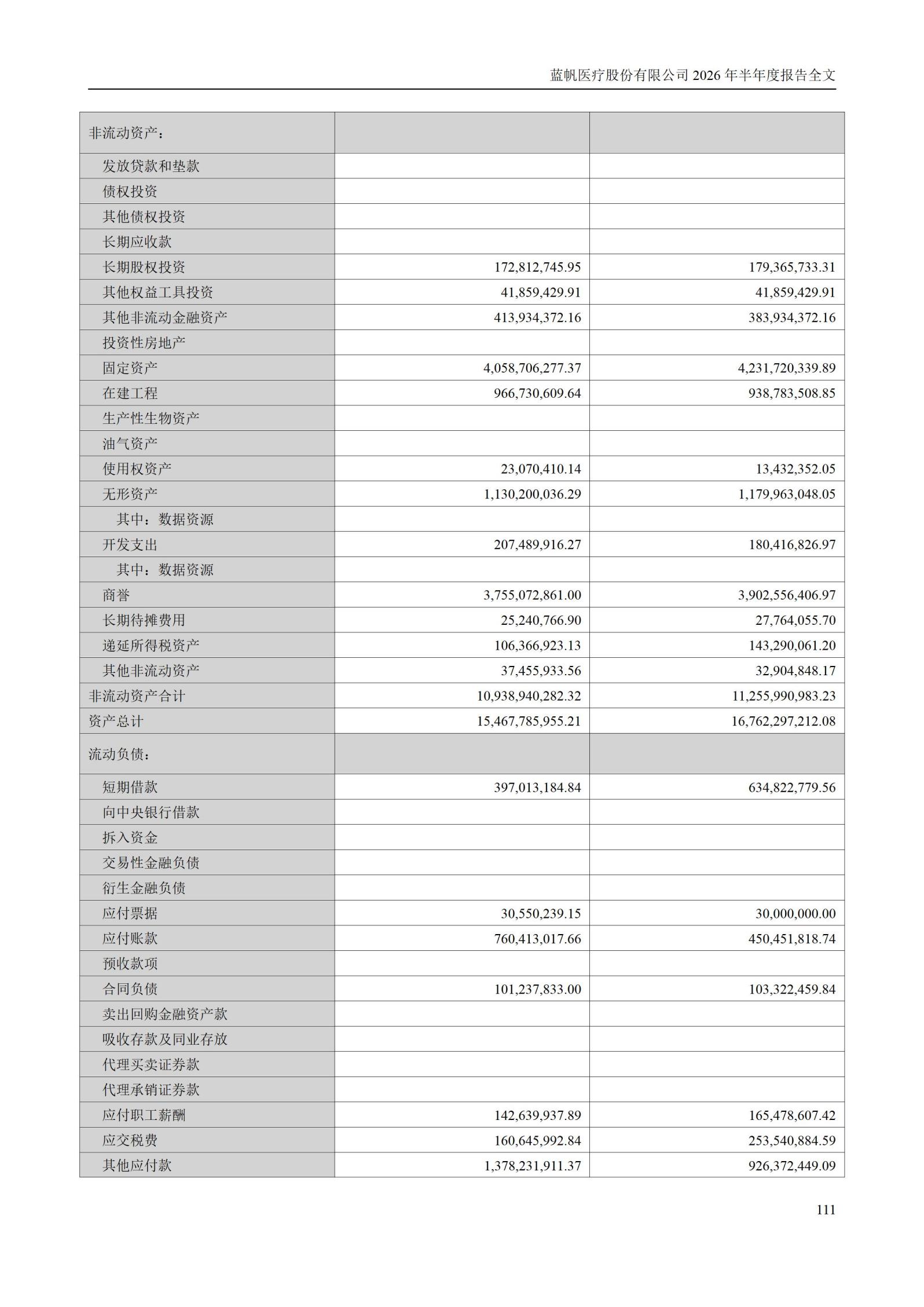 3-蓝帆医疗股份有限公司2026年半年度报告_111