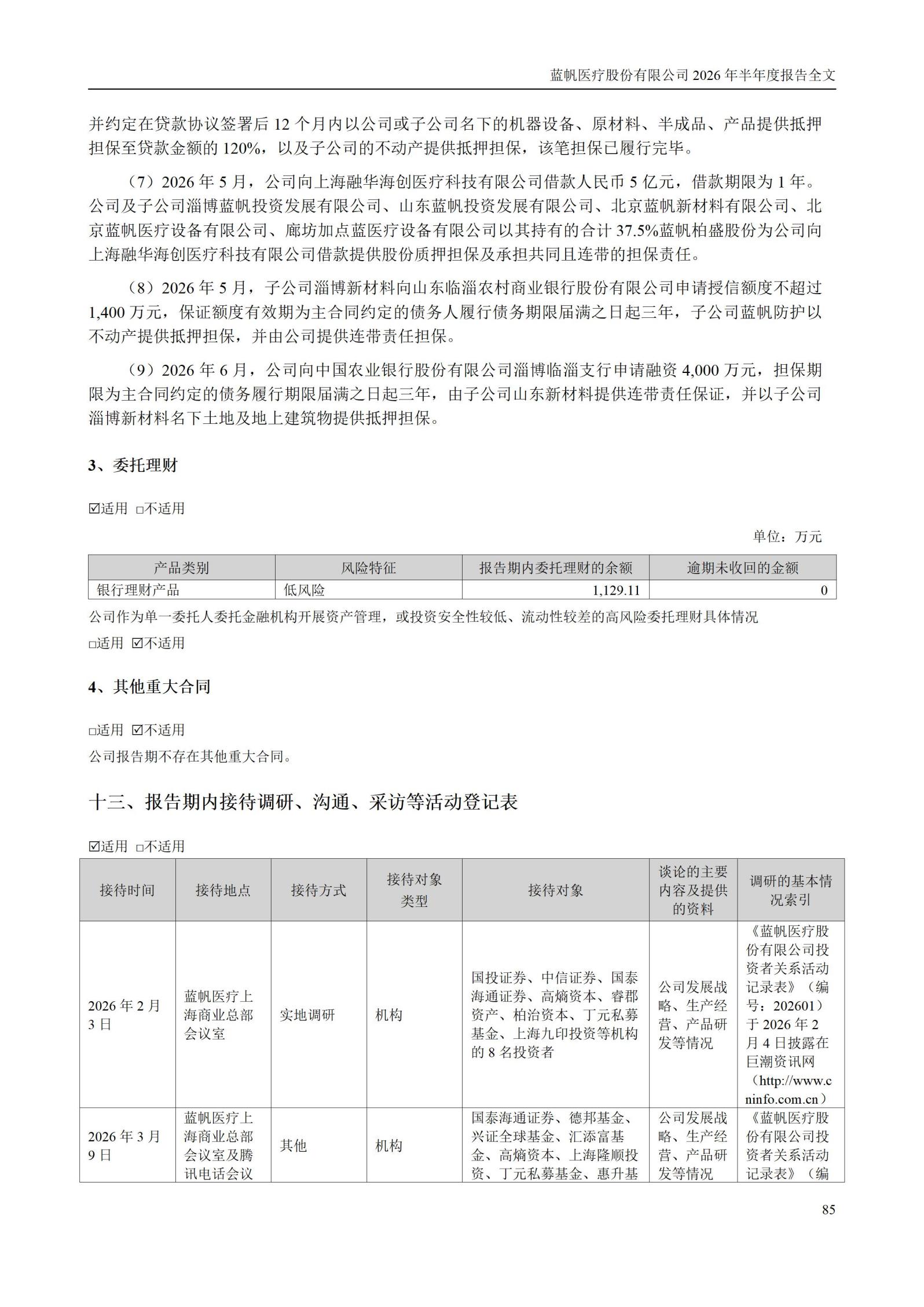 3-蓝帆医疗股份有限公司2026年半年度报告_85